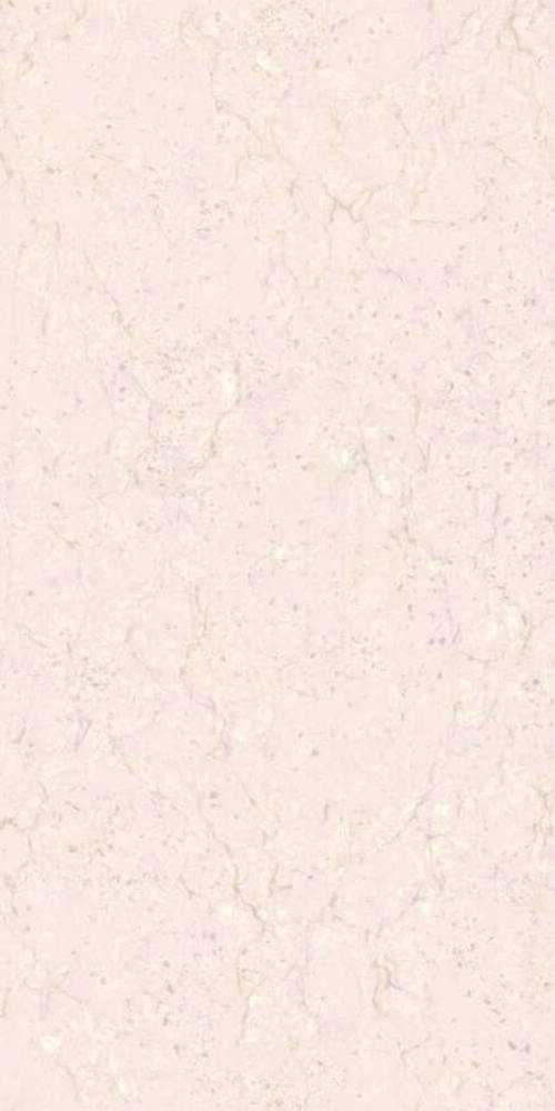 600 X 1200MM PORCELIAN FLOOR TILES
