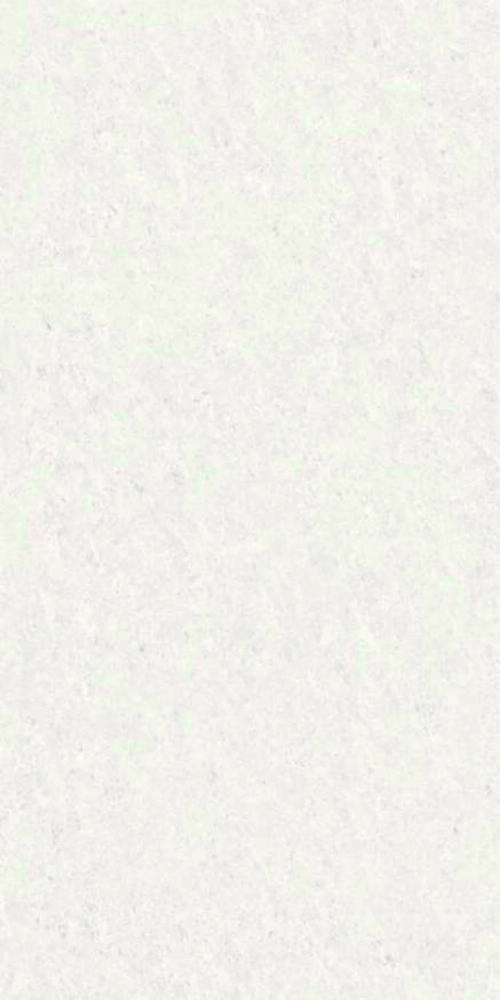 600 X 1200MM PORCELIAN FLOOR TILES