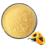 Organic Papaya Powder