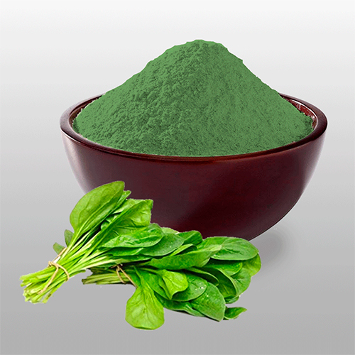 Spinach Powder - Color: Green