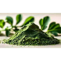 Spinach Powder