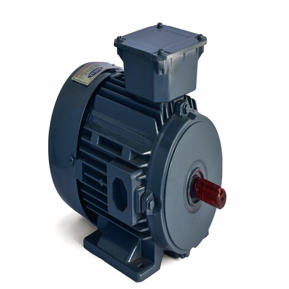 Three Phase Electric Motor - Sealed Type: Mechanical Seal