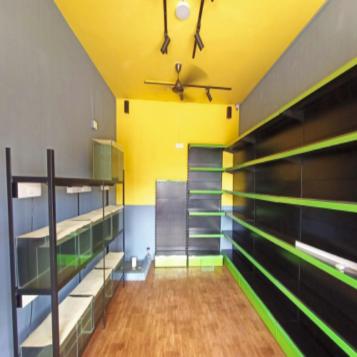 Pet Shop Display Rack