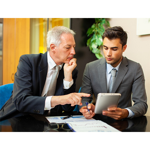 Consulting Services