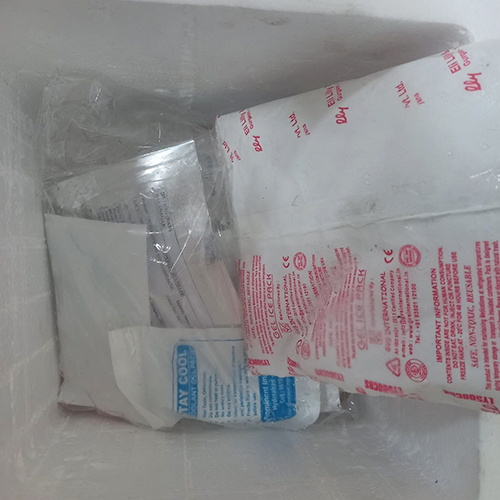 Cold Chain Shipment Packing Box With Gel Packs