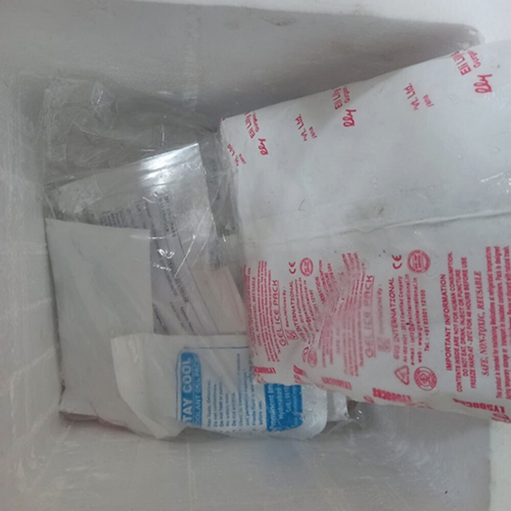 Cold Chain Shipment Packing Box With Gel Packs - Coating Type: Colour Coated