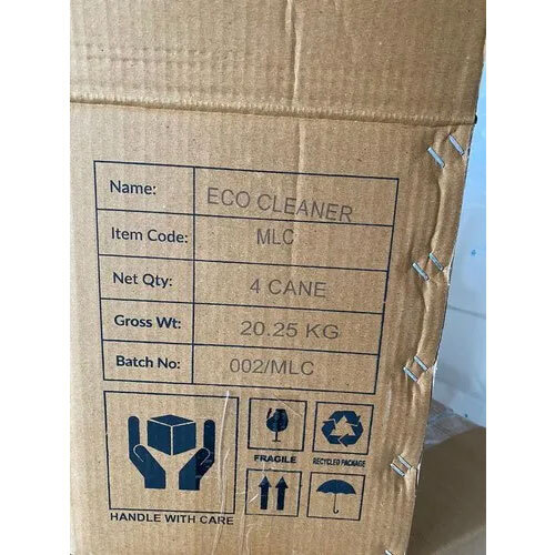 RIDHI Carton Batch Coding Machine