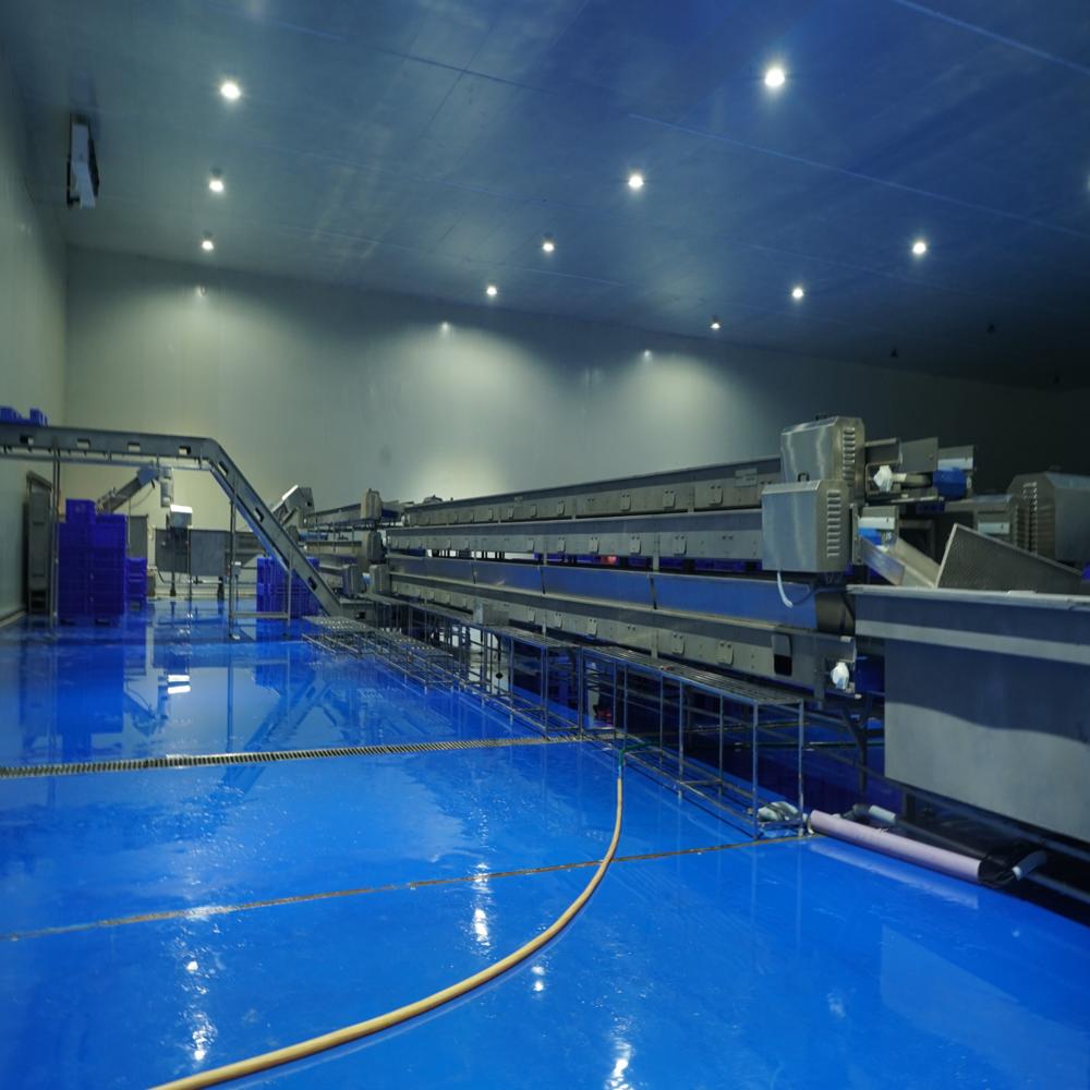 Pre-Processing Lines