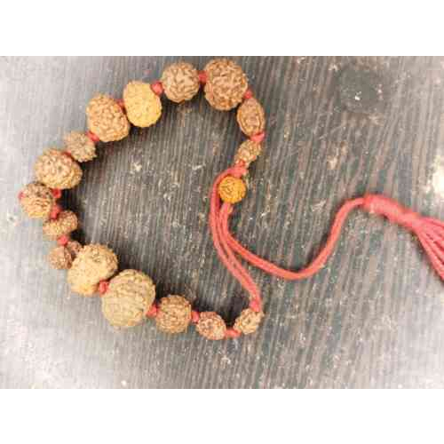 1-14 Mukhi Indonesian Rudraksha Bracelet - Color: Brown