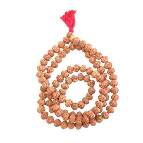 11 Mukhi Indonesian Mala
