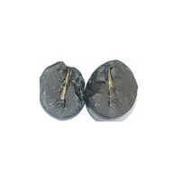 Shaligram Shivling - Color: Gray