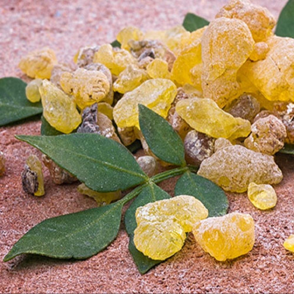 Salai Guggul Dry Extract