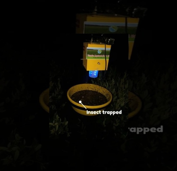 Solar Insect Trapper