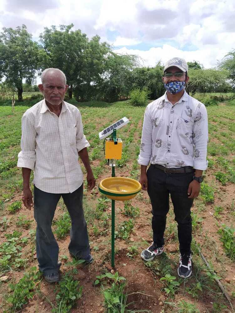 Solar Insect Trapper
