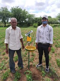 Solar Insect Trapper