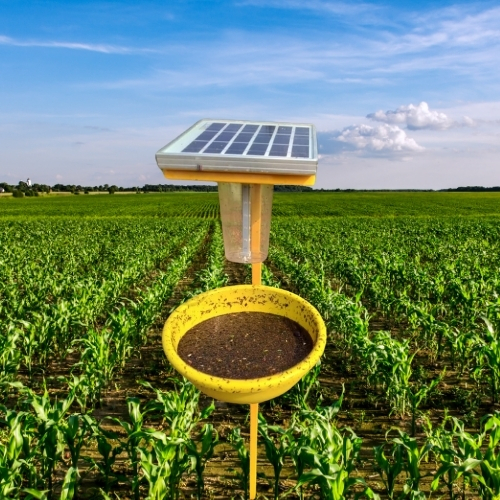 Solar Insect Trapper