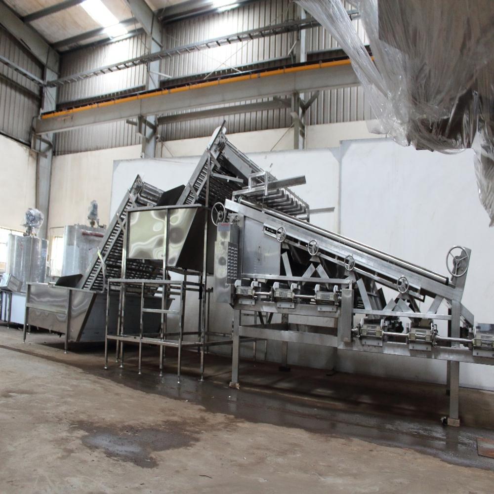 Electric Shrimp Grading Machine