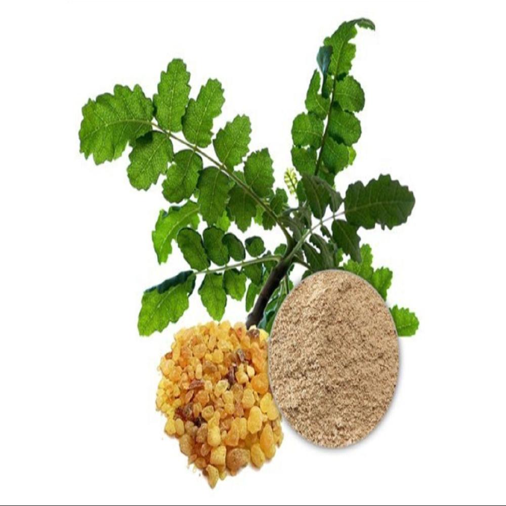 Shallaki Extract Boswellia Serrata