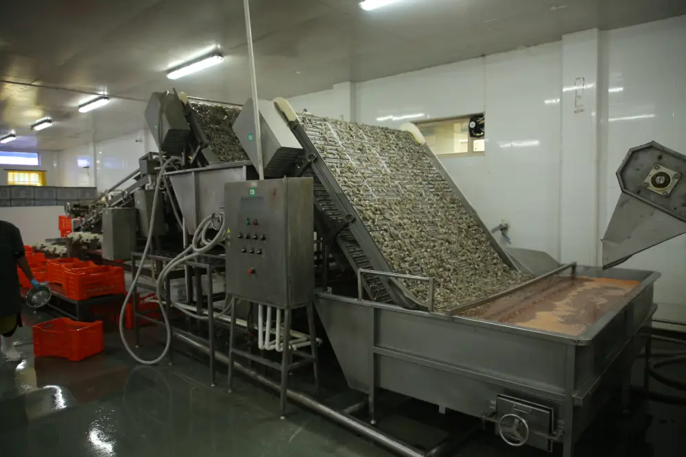 Filth Washer