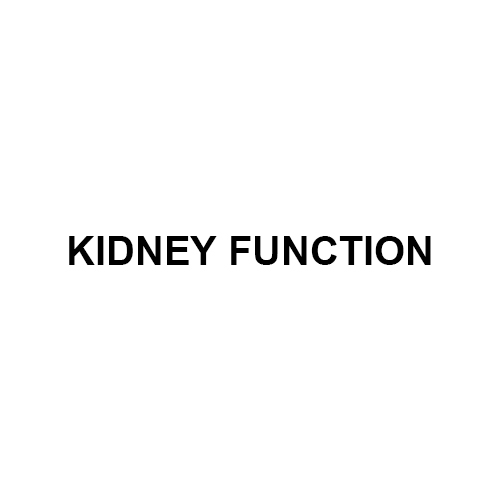 Kidney Function