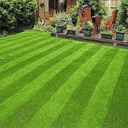 50mm Artificial Grass - Non-toxic Synthetic Turf, 50mm Pile Height, Uv-resistant, Ideal For Lawns And Play Areas | Soft, Lush Appearance, Durable And Easy To Maintain