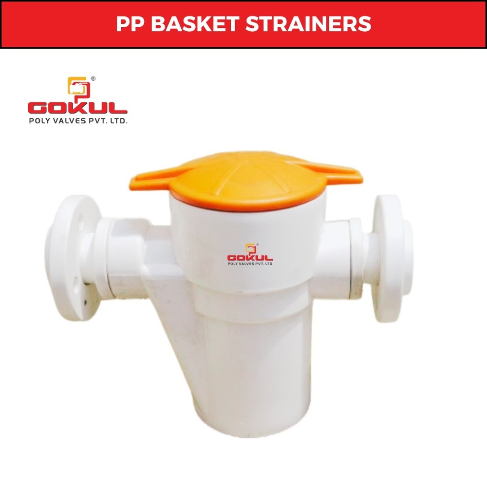 PP Basket Type Strainer Flanged