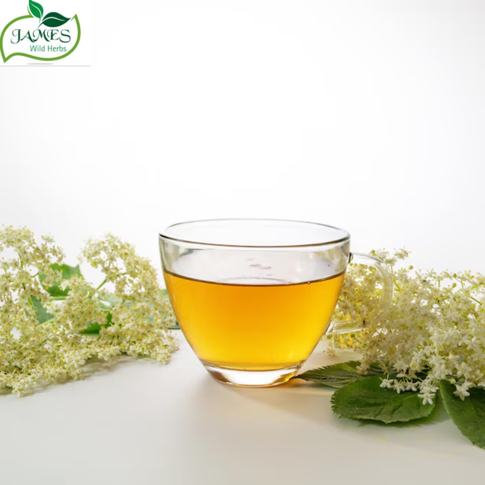 Gotu Kola Extract