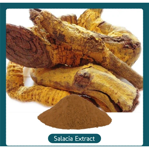 Salacia Reticulata Extract - Purity(%): 99%