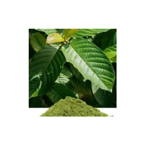 Banaba Leaf Extract - Product Type: Herbal Product
