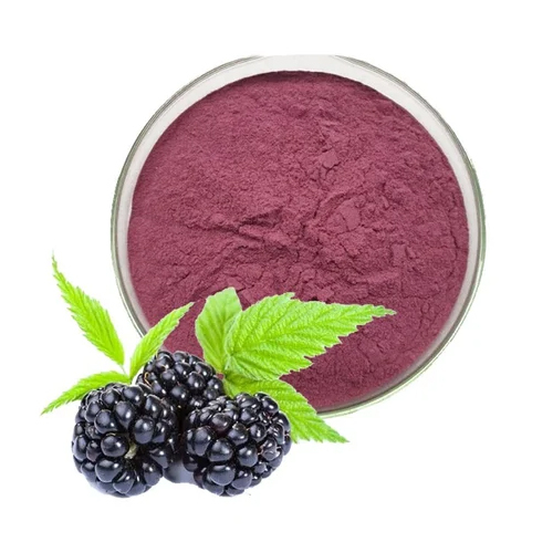 Acai Berry Extracts - Cultivation Type: Organic