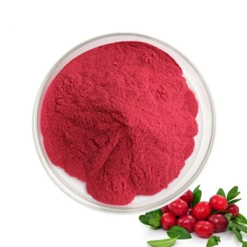 Spray Dried Cranberry Powder