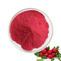 Spray Dried Cranberry Powder - Cultivation Type: Organic