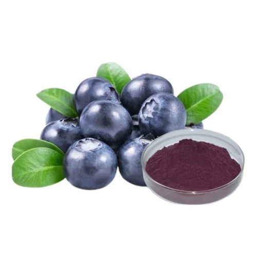Acai Berry Powder - Cultivation Type: Organic