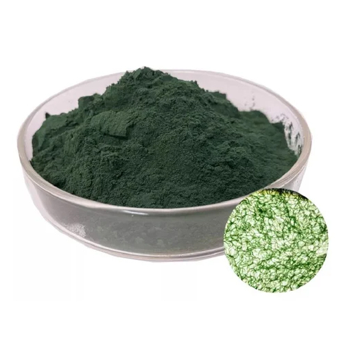 Chlorella Powder