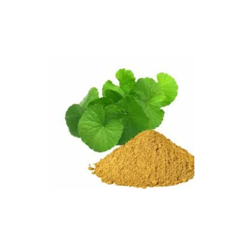 Bacopa Monnieri Extract - Cultivation Type: Organic