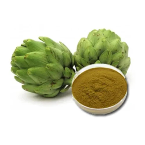 Artichoke Extract Powder - Cultivation Type: Organic