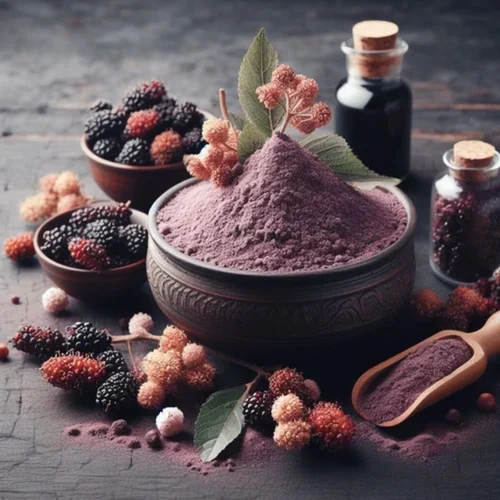 Blackberry Extract Powder - Cultivation Type: Organic