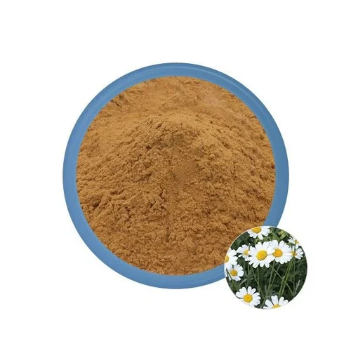 Anacyclus Pyrethrum Extract Powder - Cultivation Type: Organic