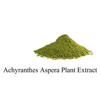 Apamarga Extract Powder - Cultivation Type: Organic