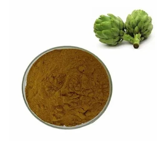 Artichoke Leaf Extract Powder - Cultivation Type: Organic
