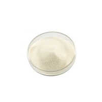 White Resveratol Extract Powder - Application: Supplements