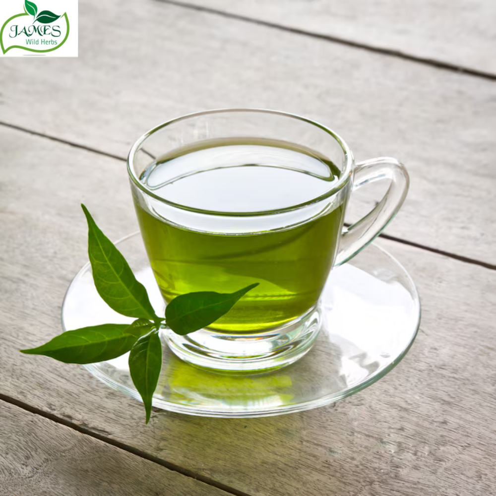 Green Tea Extract