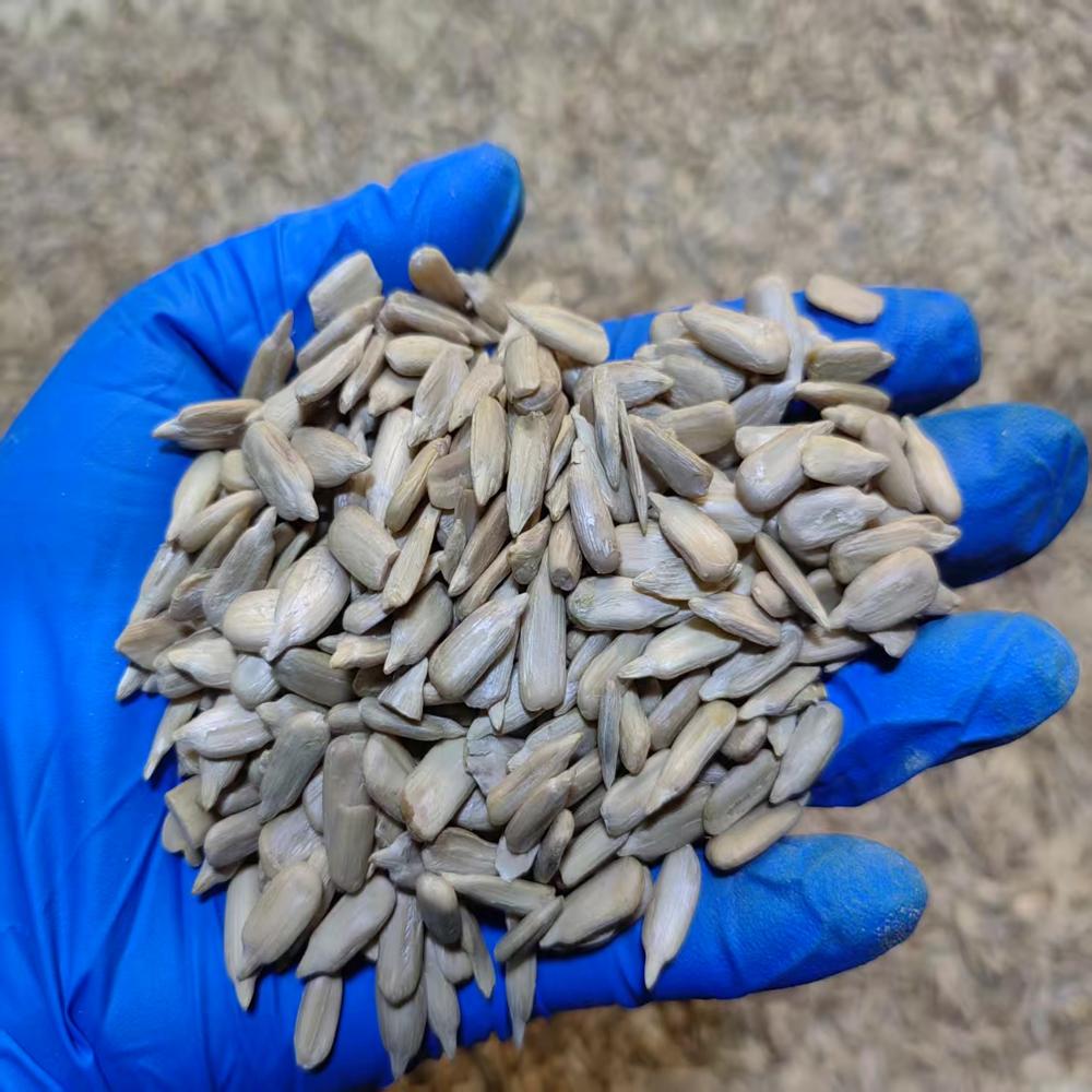 Hulled Sunflower Seeds - Off-White Sunflower Kernels, 5-10 mm Size, <8% Moisture, 45-55% Oil, 20-25% Protein | Ideal for Baking, Snacking, Toppings