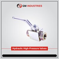 Industrial Oven