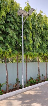 solar street light