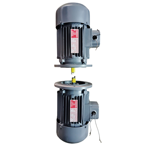 0.5 HP 1440 RPM प्रेरण वर्टिकल मोटर