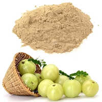 Organic Vitamin C Extract (50 %) From Amla Source - Dosage Form: Powder
