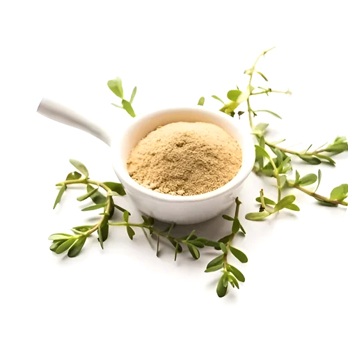 Organic Bacopa Monnieri Extract - Ingredients: Herbs
