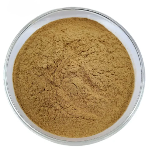 Organic Brahmi Extract