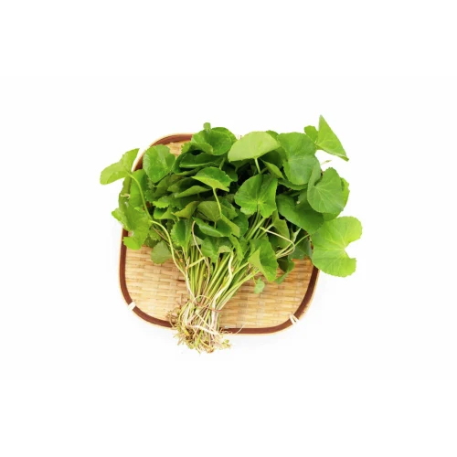 Organic Centella Asiatica Extract - Purity(%): 100 %